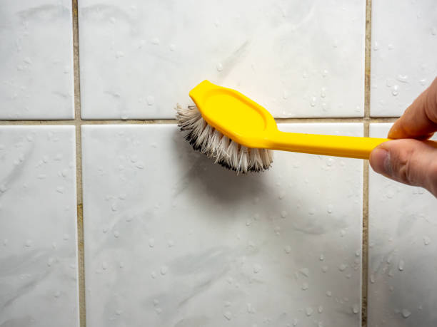 Best Mold Remediation  in Ingram, TX