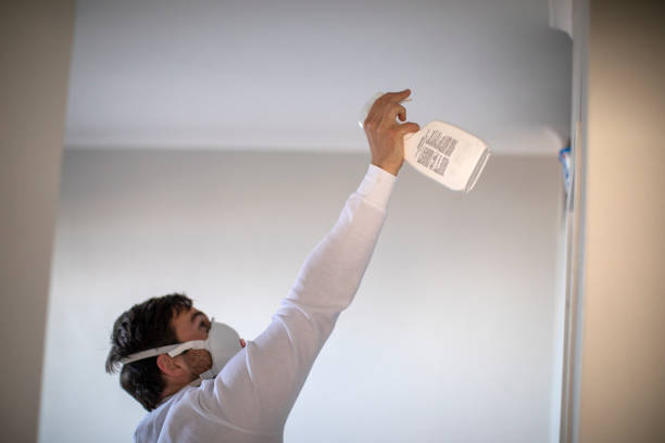 Best Mold Remediation  in Ingram, TX