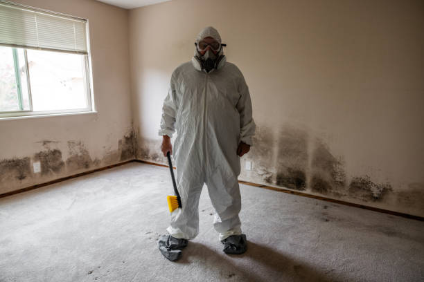 Best Crawl Space Mold Removal  in Ingram, TX