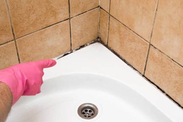 Best Crawl Space Mold Removal  in Ingram, TX